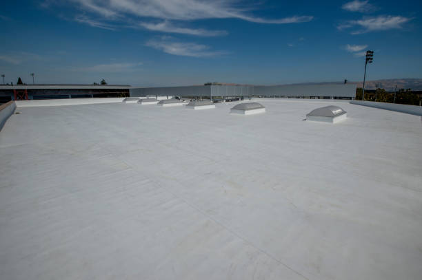 Best Sheet Metal Roofing  in Carle Place, NY