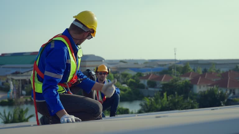Best Roof Maintenance and Cleaning  in Carle Place, NY